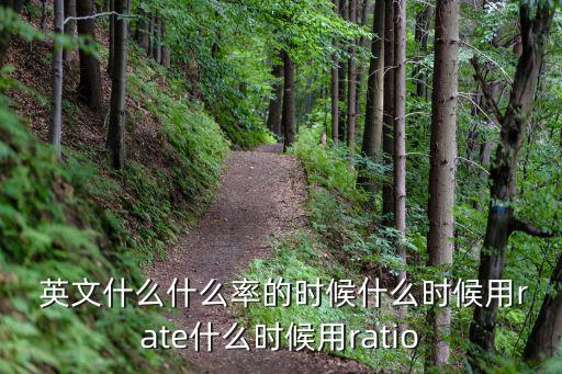  英文什么什么率的時候什么時候用rate什么時候用ratio