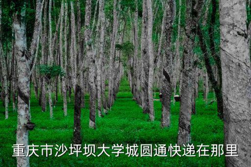 重慶市沙坪壩大學(xué)城圓通快遞在那里