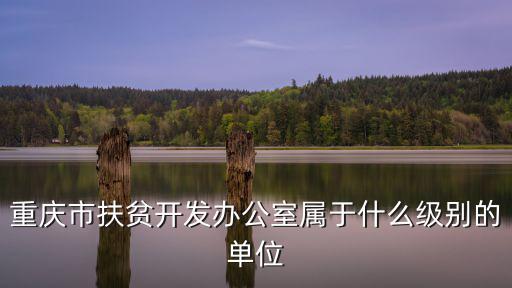 重慶市扶貧開發辦公室屬于什么級別的單位