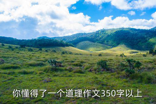 你懂得了一個(gè)道理作文350字以上