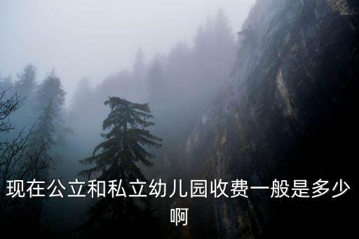 現在公立和私立幼兒園收費一般是多少啊