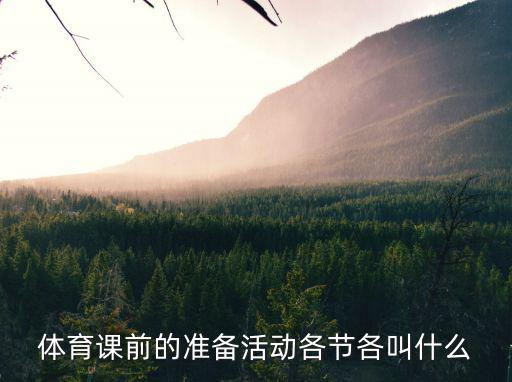 體育課前的準備活動各節各叫什么
