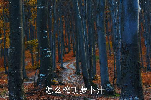 怎么榨胡蘿卜汁