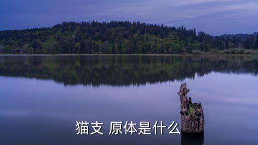 支原體是什么意思,支離破碎/雜亂無(wú)章原體被雜菌感染