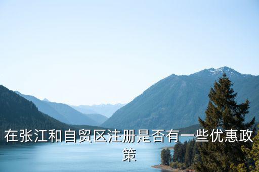 在張江和自貿區注冊是否有一些優惠政策
