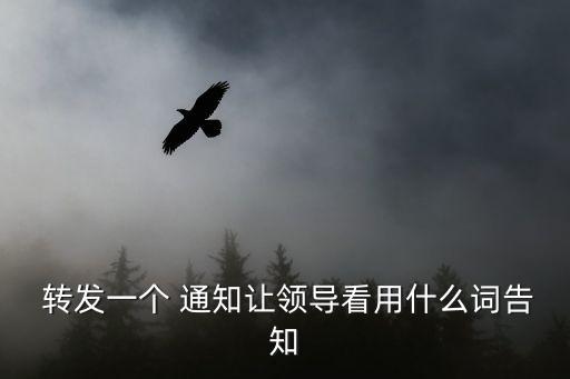 轉(zhuǎn)發(fā)性通知,某機(jī)關(guān)約轉(zhuǎn)發(fā)某單位通知四大常見問題