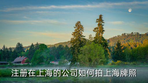 注冊在上海的公司如何拍上海牌照
