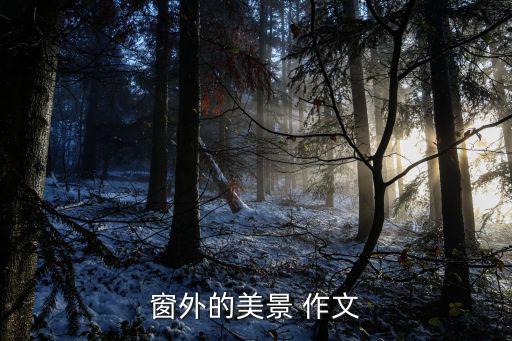 窗外的美景 作文