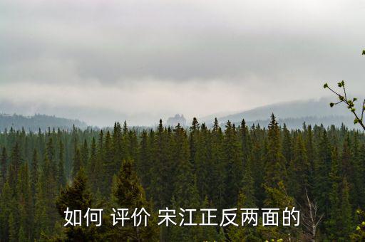 宋江評(píng)價(jià),宋江被金圣嘆評(píng)為下等人自知之明