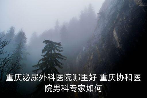 重慶泌尿外科醫(yī)院哪里好 重慶協(xié)和醫(yī)院男科專家如何