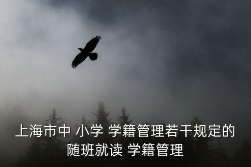 上海市中 小學(xué) 學(xué)籍管理若干規(guī)定的隨班就讀 學(xué)籍管理