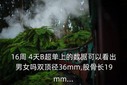 b超單子怎么看男女,懷孕男孩看起來很好一般不會超過60%