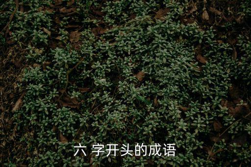 六 字開(kāi)頭的成語(yǔ)