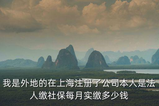 我是外地的在上海注冊了公司本人是法人繳社保每月實繳多少錢