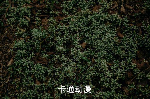 動漫卡通，有什么好看的動漫卡通