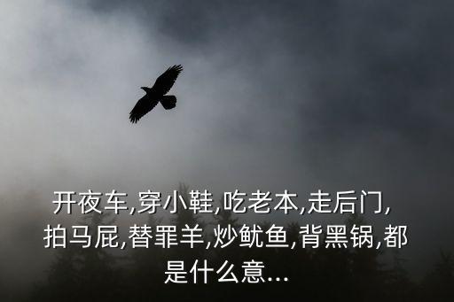 開夜車,穿小鞋,吃老本,走后門, 拍馬屁,替罪羊,炒魷魚,背黑鍋,都是什么意...