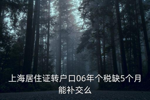 上海落戶政策 居轉戶 個稅，上海居住證轉戶口06年個稅缺5個月能補交么