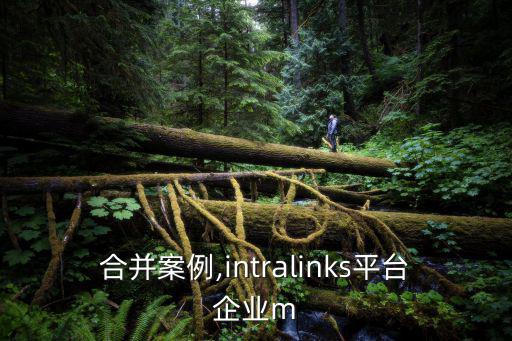 企業(yè)合并案例,intralinks平臺企業(yè)m