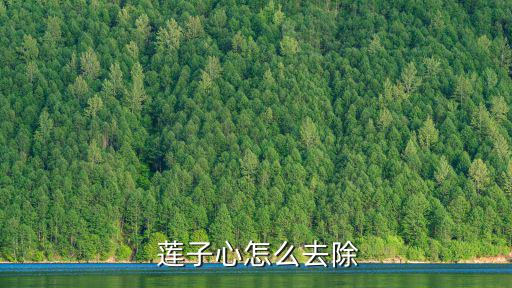 蓮子心,蓮子心臟泡水不燥，可加糖調味
