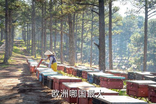 歐洲哪國(guó)最大