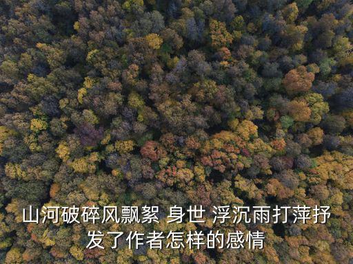山河破碎風飄絮 身世 浮沉雨打萍抒發了作者怎樣的感情