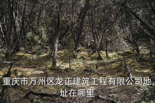 重慶市萬州區(qū)龍正建筑工程有限公司地址在哪里