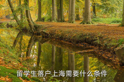 留學(xué)生落戶上海需要什么條件