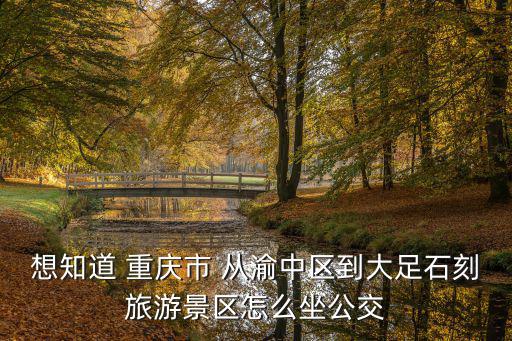 想知道 重慶市 從渝中區到大足石刻旅游景區怎么坐公交