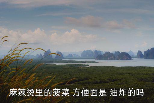 方便面是油炸的嗎,炸方便面或速食面食水分含量14.5%
