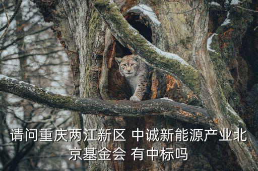 請問重慶兩江新區 中誠新能源產業北京基金會 有中標嗎