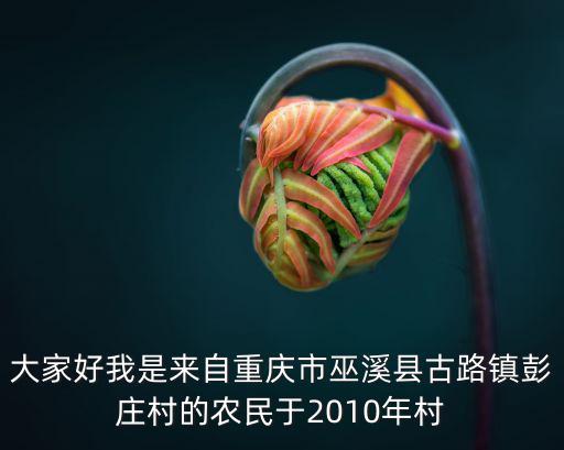 大家好我是來(lái)自重慶市巫溪縣古路鎮(zhèn)彭莊村的農(nóng)民于2010年村