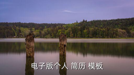 免費個人簡歷模板,珍貴個人簡歷模板有幾千套供你瀏覽