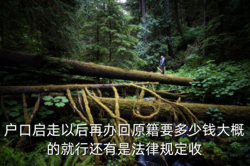 戶口啟走以后再辦回原籍要多少錢大概的就行還有是法律規定收