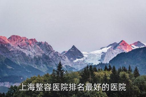 上海整容醫院排名最好的醫院