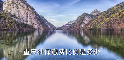 重慶社保繳費比例是多少