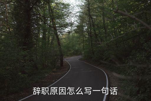 辭職原因怎么寫一句話
