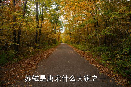 蘇軾是唐宋什么大家之一