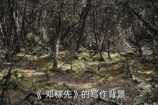 《 鄧稼先》的寫作背景