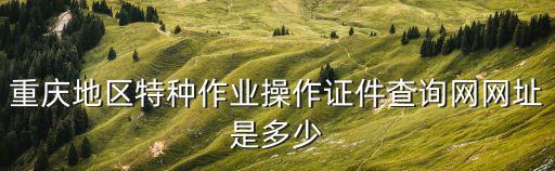 重慶地區特種作業操作證件查詢網網址是多少
