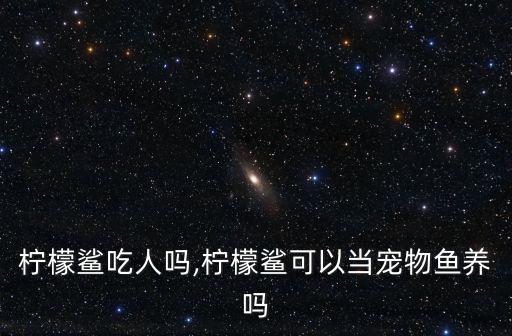 檸檬鯊吃人嗎,檸檬鯊可以當寵物魚養嗎