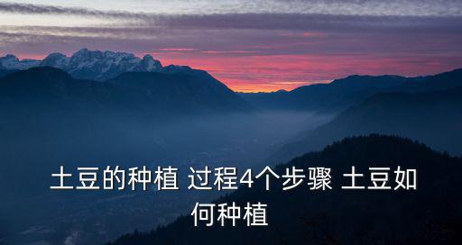  土豆的種植 過程4個步驟 土豆如何種植