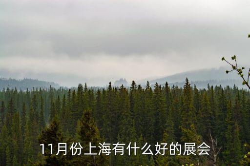 11月份上海有什么好的展會