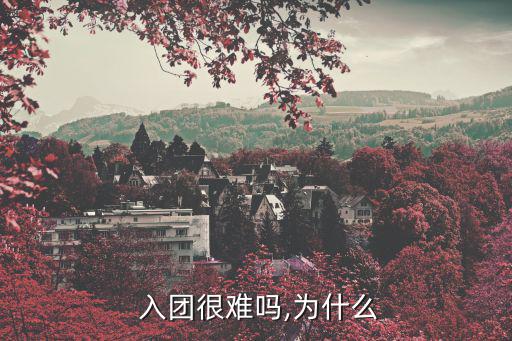 為什么入團(tuán),入團(tuán)是光榮的也是愛(ài)國(guó)愛(ài)民的重要體現(xiàn)