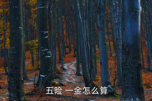 五險一金怎么算,五險一金計算公式:醫療保險等繳費比例最高
