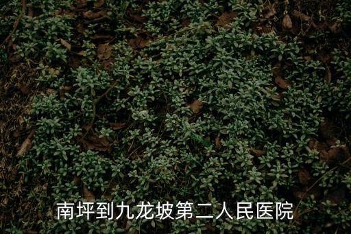 南坪到九龍坡第二人民醫院