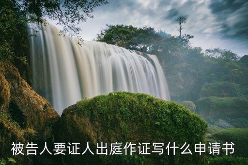 被告人要證人出庭作證寫什么申請書