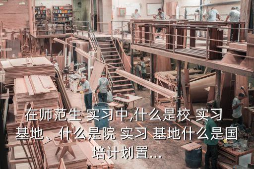 在師范生 實習中,什么是校 實習 基地、什么是院 實習 基地什么是國培計劃置...