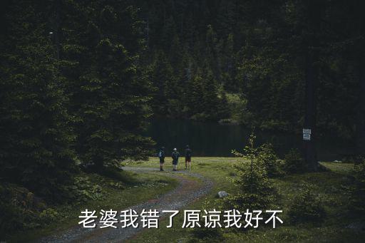 老婆我錯了原諒我好不