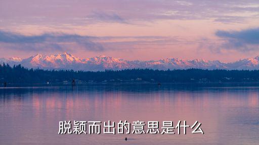  脫穎而出的意思是什么