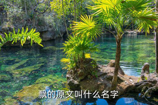 飄的原文叫什么名字